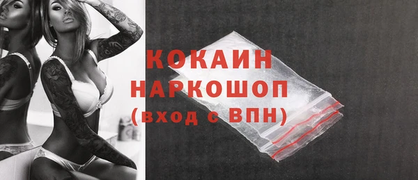 ешки Няндома