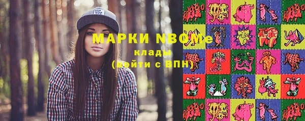 ешки Няндома