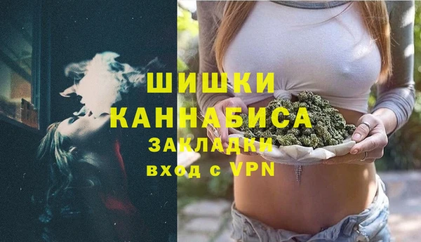 индика Бикин
