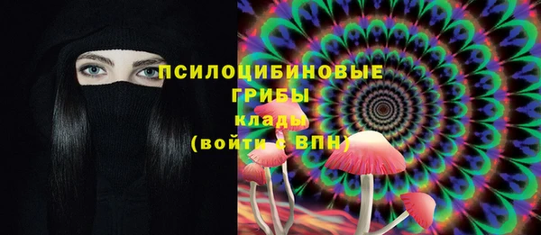 ешки Няндома