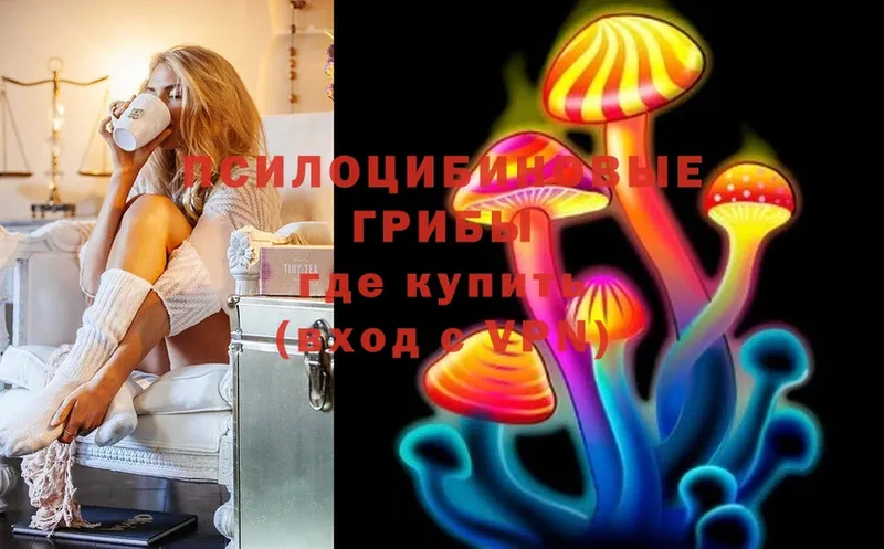 Галлюциногенные грибы Cubensis  Абинск 