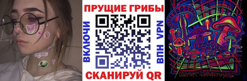 Псилоцибиновые грибы ЛСД  omg зеркало  Абинск 