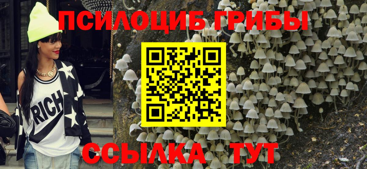 Абинск  Галлюциногенные грибы Cubensis  Галлюциногенные грибы мицелий  Вход с VPN 