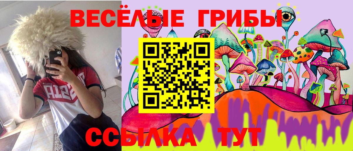 Псилоцибиновые грибы Psilocybine cubensis Абинск