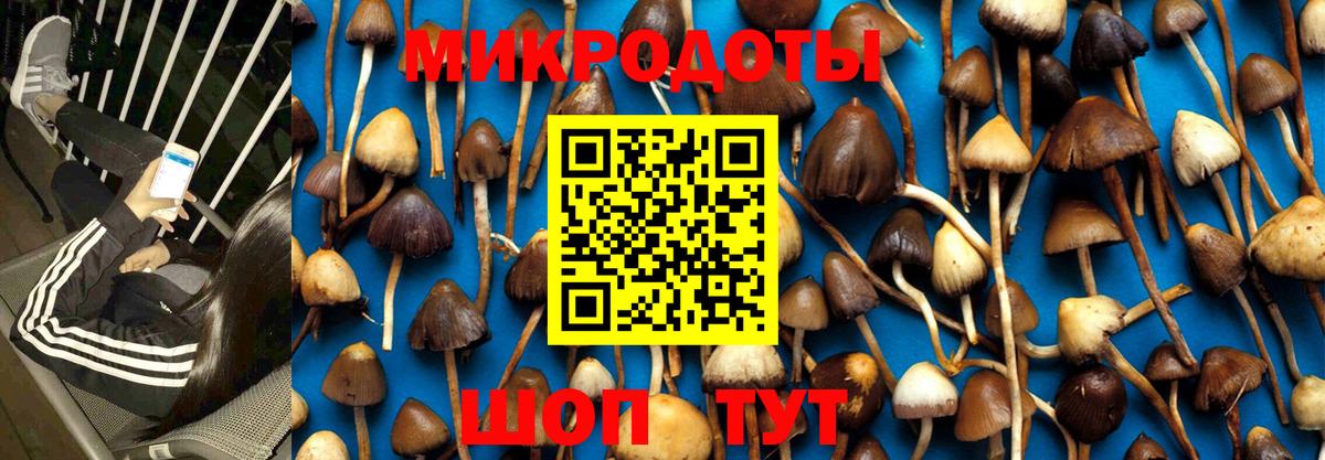 Галлюциногенные грибы ЛСД  Вход с VPN  Абинск 